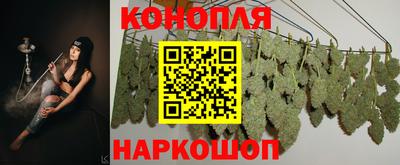 гидропоника Заволжье