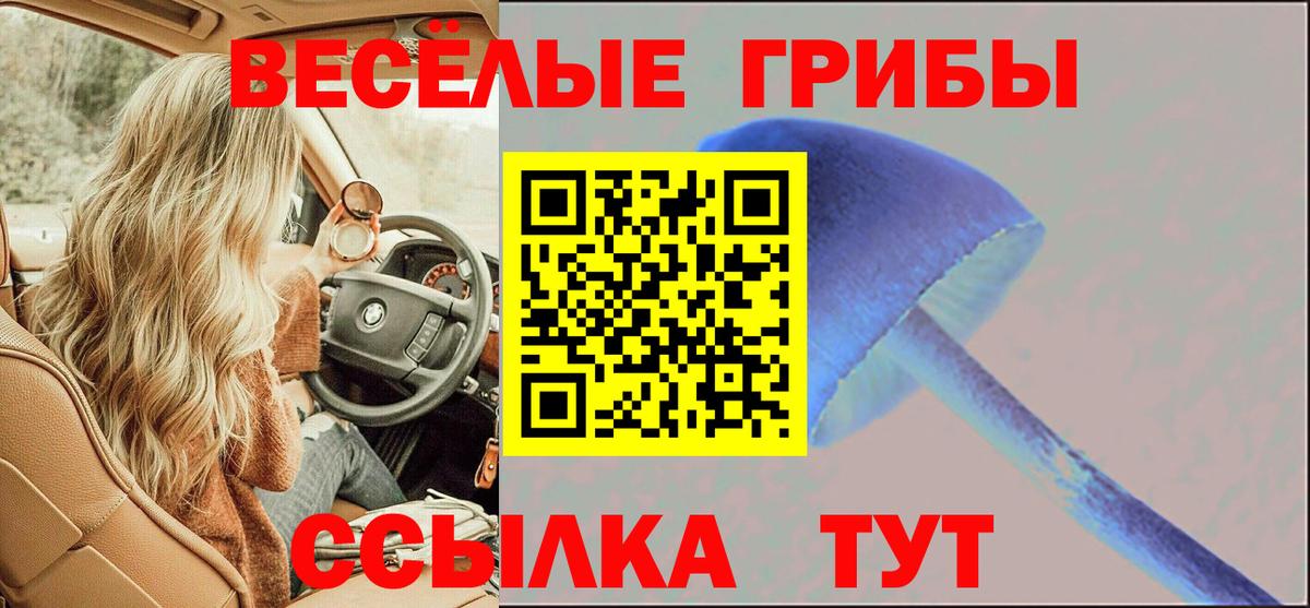 Галлюциногенные грибы Magic Shrooms  Вход с VPN  Магадан 