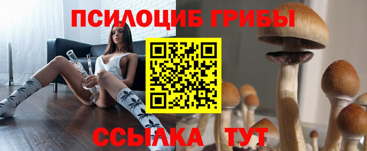 Псилоцибиновые грибы Магадан