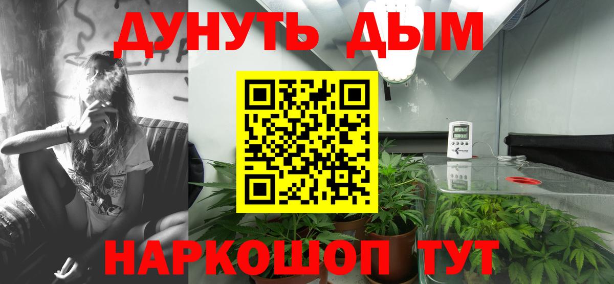 Бошки Шишки семена Магадан